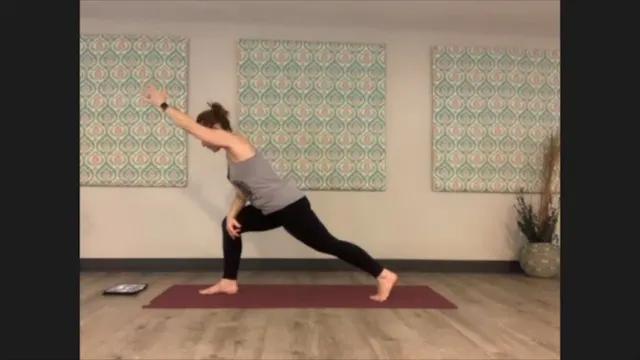 1/19/21 - Sarah - Vinyasa Flow