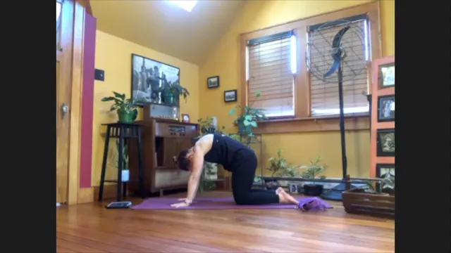 5/6/20 - Sarah - Vinyasa Flow