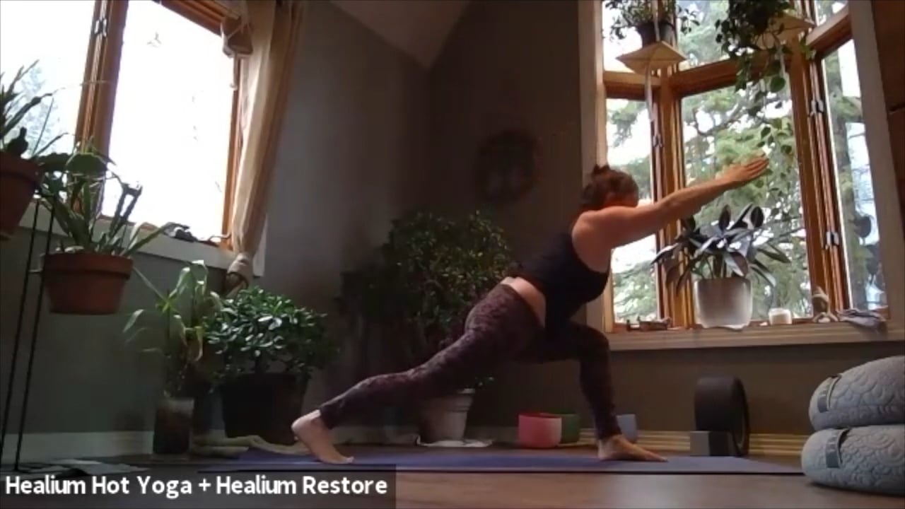 3/28/20 - Erin - Vinyasa Flow