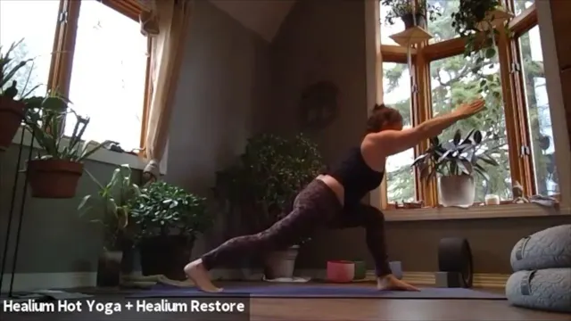 3/28/20 - Erin - Vinyasa Flow