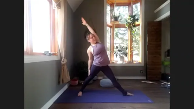 4/11/20 - Erin - Vinyasa Flow