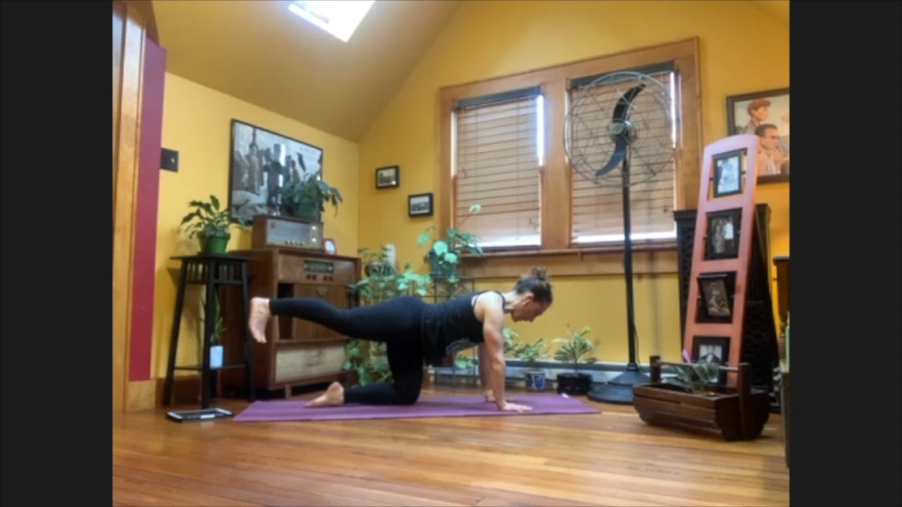 4/24/20 - Sarah - Vinyasa Flow