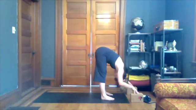 8/25/20 - Anna A - Vinyasa Flow