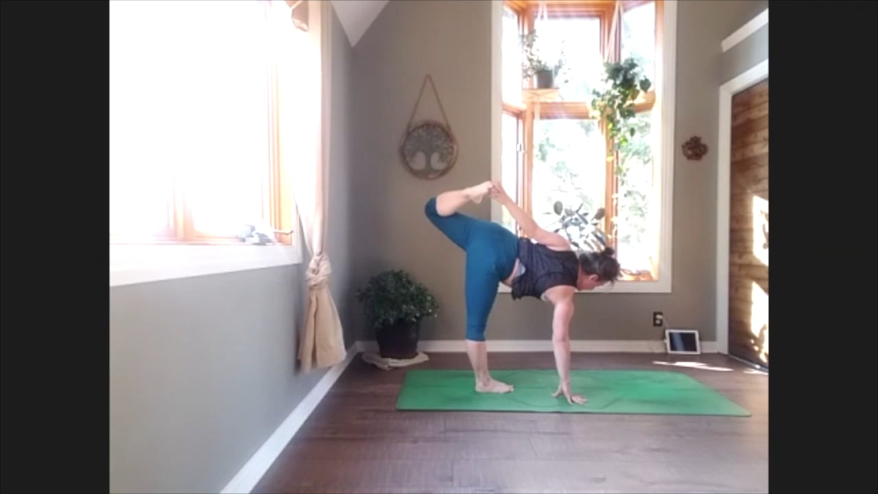 4/18/20 - Erin - Vinyasa Flow