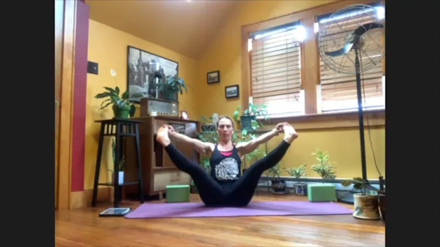 6/10/20 - Sarah - Vinyasa Flow