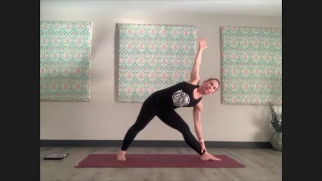 1/28/21 - Sarah - Vinyasa Flow