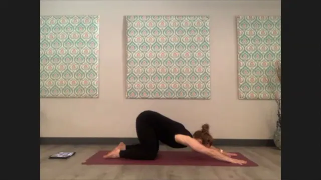 11/5/20 - Sarah - Vinyasa Flow