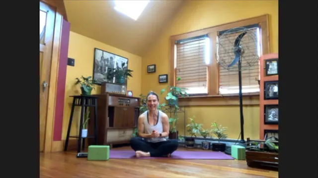 5/15/20 - Sarah - Vinyasa Flow