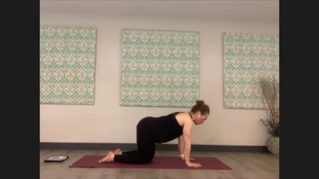 5/18/21 - Sarah - Vinyasa Flow
