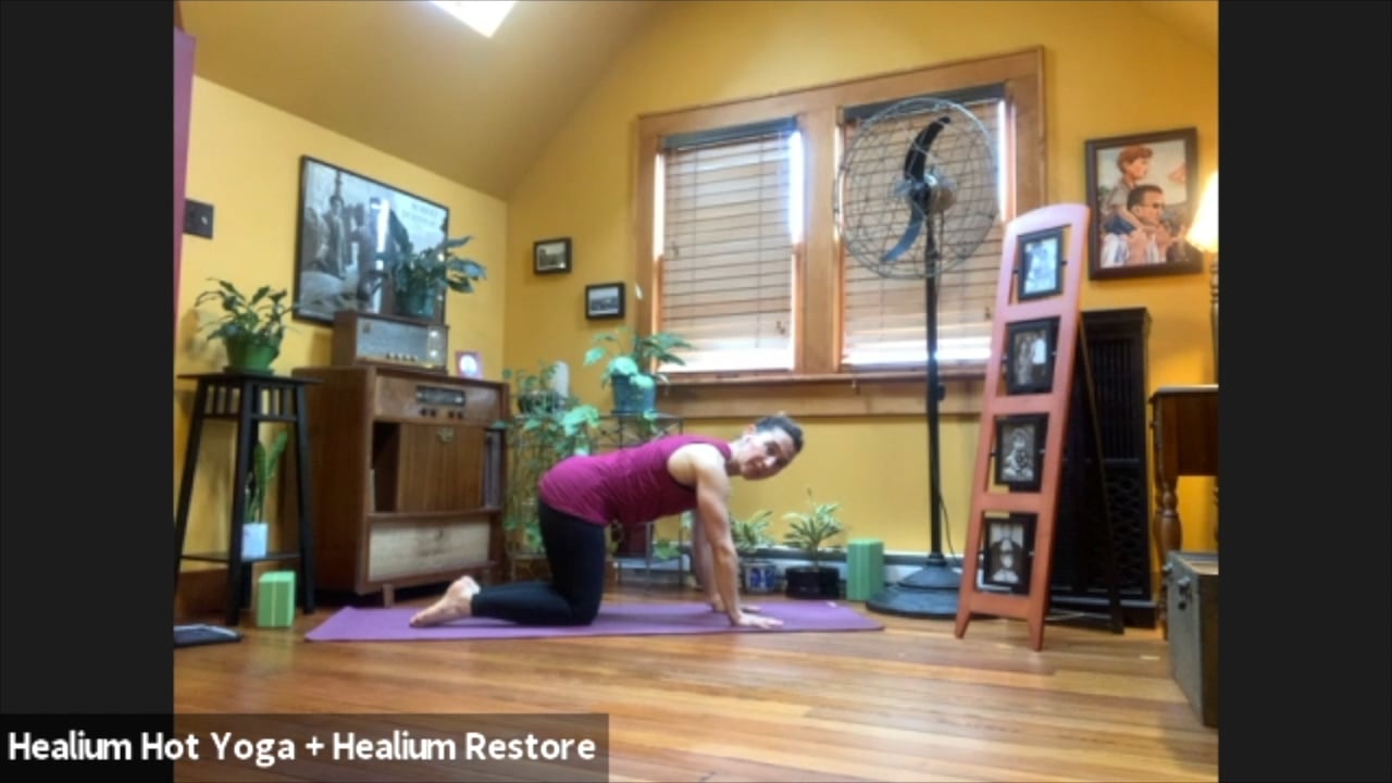 4/3/20 - Sarah - Vinyasa Flow