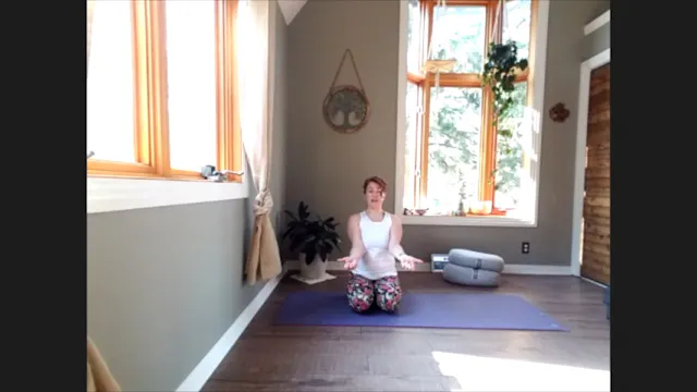 5/16/20 - Erin - Vinyasa Flow