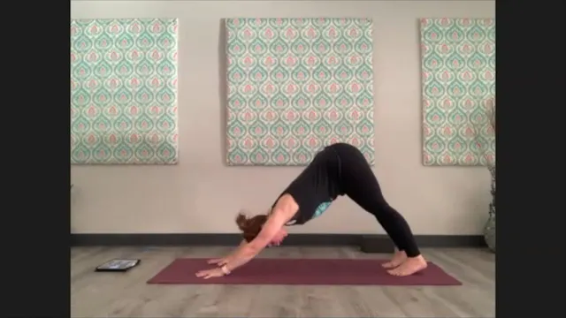 11/12/20 - Sarah - Vinyasa Flow