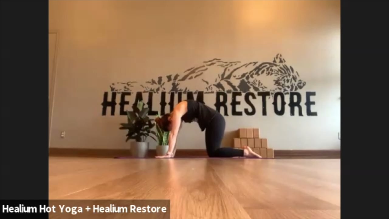3/20/20 - Sarah - Vinyasa Flow