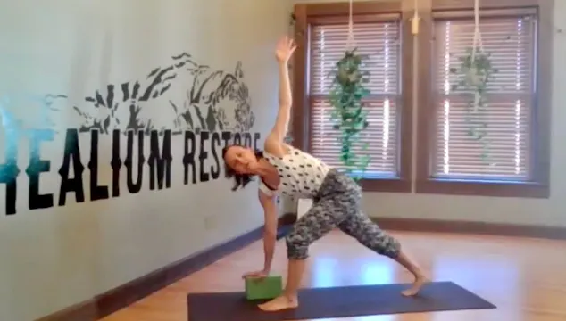 45 min Vinyasa Flow with Twists w/Senta