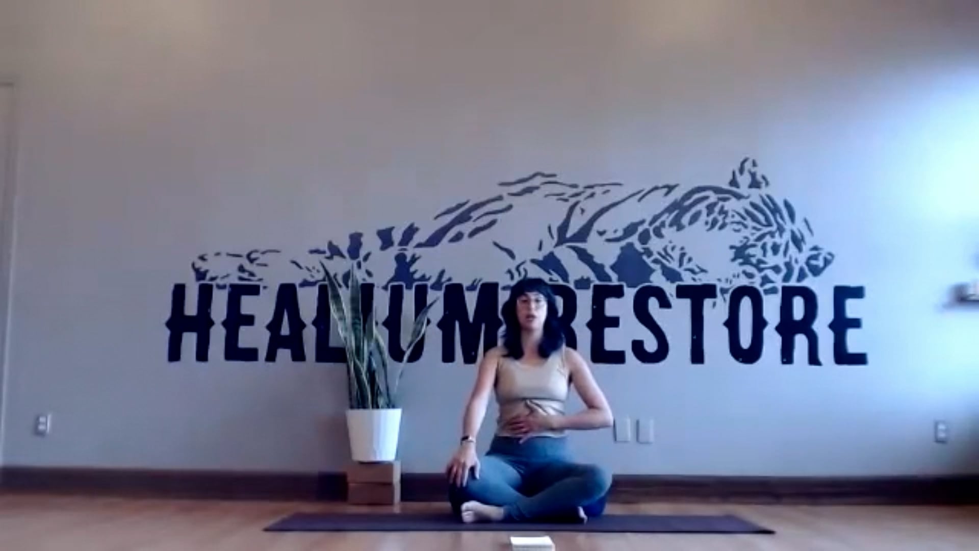 20 min Energizing Pranayama Yogic Breathing w/Heather 8/6/24
