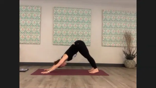 4/15/21 - Sarah - Vinyasa Flow
