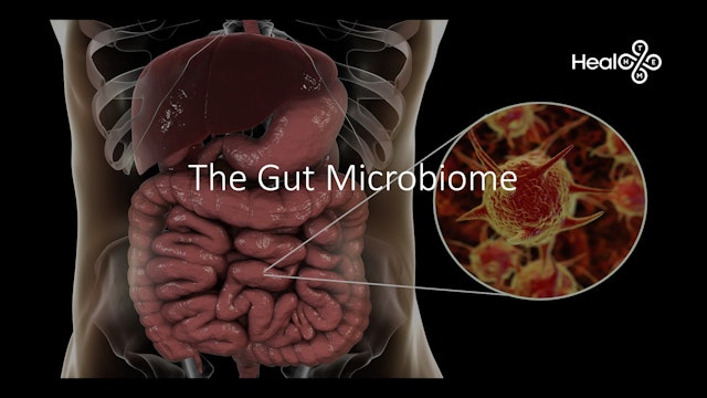 Part 3 Lesson 16 Intro Gut Microbiome