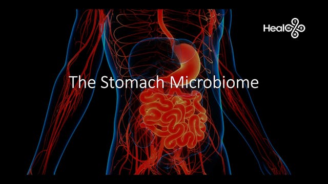 Part 3 Lesson 15 Lung Microbiome