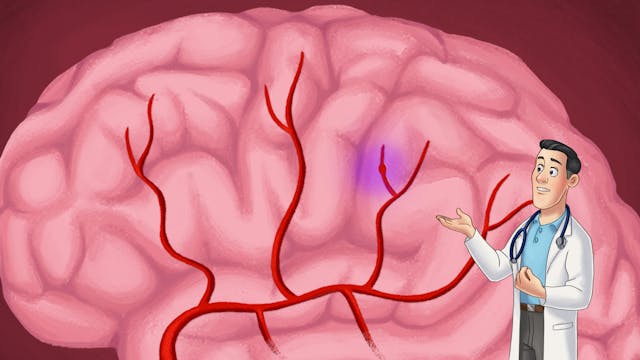 Brain, spine and nerve collection