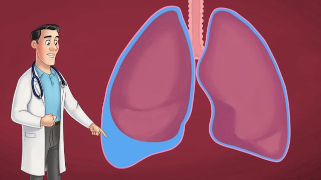 Pleural effusion - Learn more