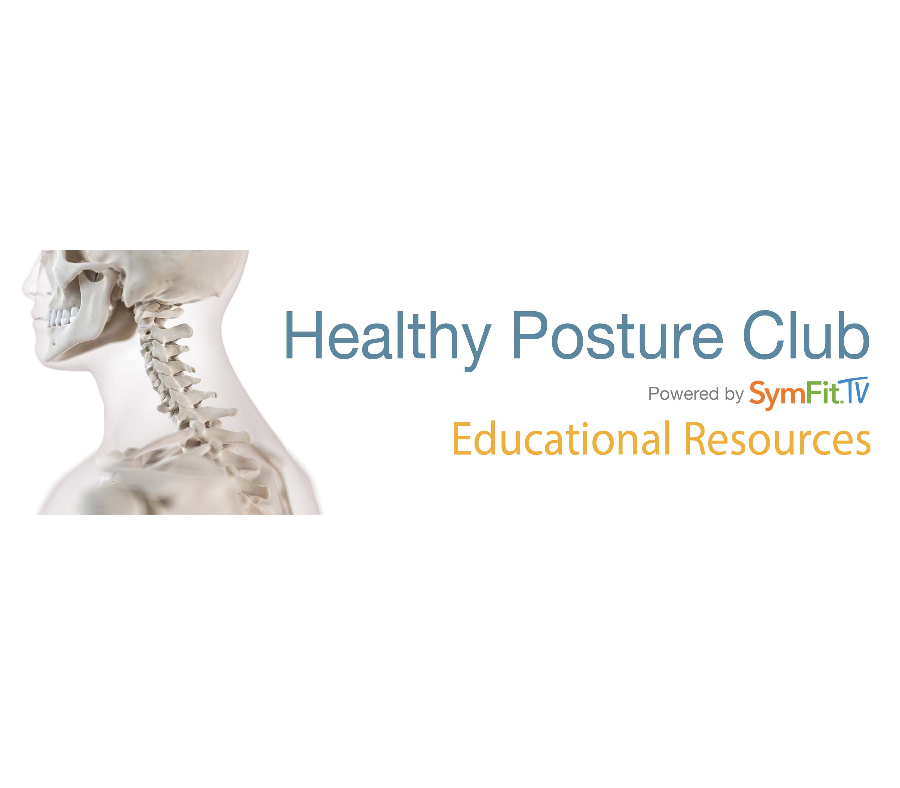 Healthy Sitting and Standing Posture (with Seated Mobility) - Level 1