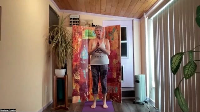 #41 March 19th-Experienced yoga - Sta...