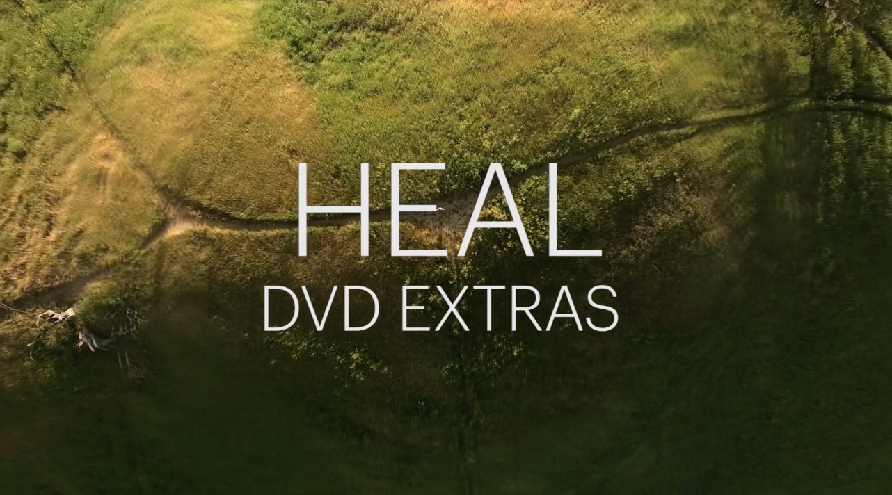 HEAL EXTRAS: Resistance vs Flow