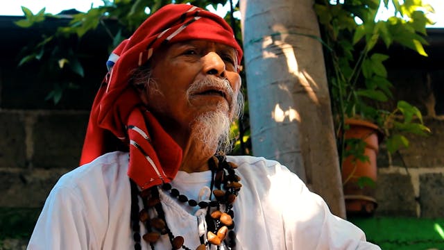 The Elements, Plants and Medicine of ...