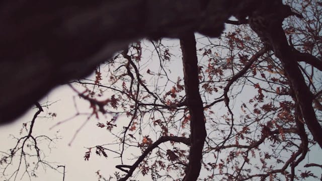 "Muddy Junkyard" HB5.9