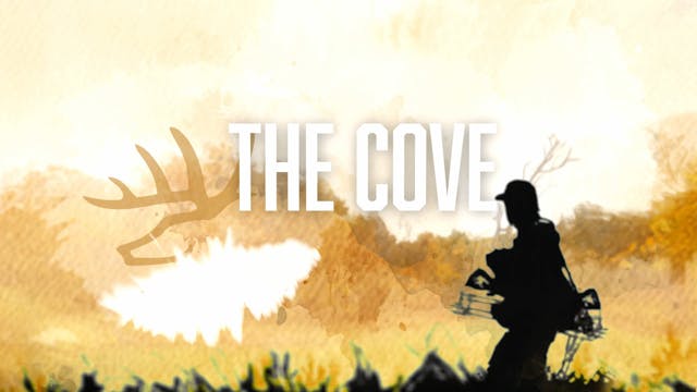 HB17.5 | The Cove