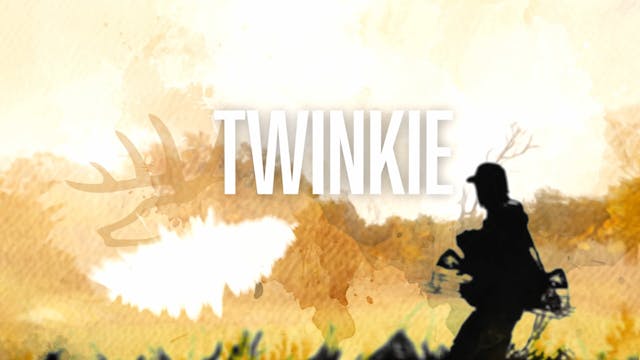 HB17.6 | Twinkie