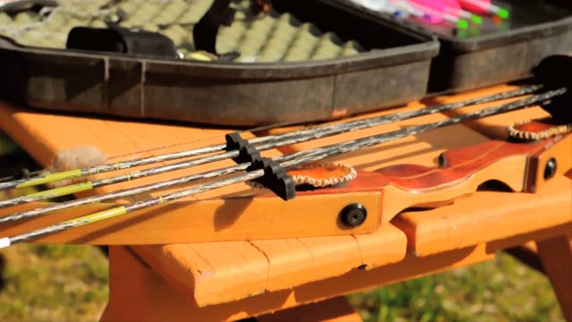 "Manitoba Black Bear" HB3.13