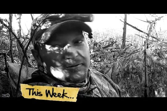 "Spring Cleanup" HB1.11