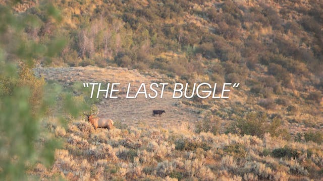 HB13.3 | The Last Bugle