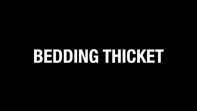 HB18.7 BEDDING THICKET