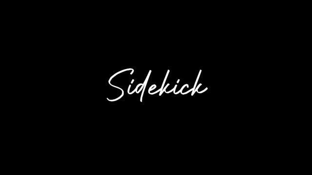 HB14.6 | Sidekick