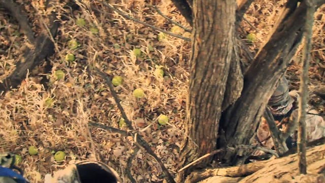 "Ground Attack" HB4.9