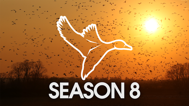 Heartland Waterfowl - Season 8