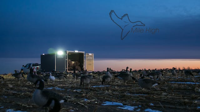 Heartland Waterfowl 4.6 - "MILE HIGH"