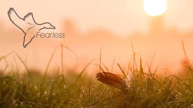HEARTLAND WATERFOWL | 5.2 | "Fearless"