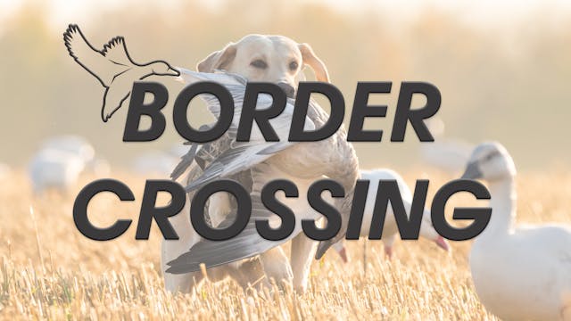 HW7.2 BORDER CROSSING