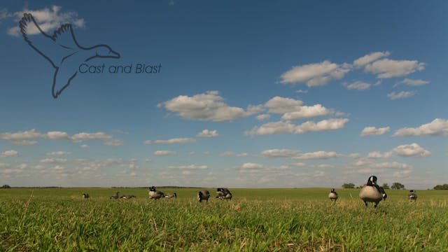 HEARTLAND WATERFOWL | 5.1 | "Cast & Blast"