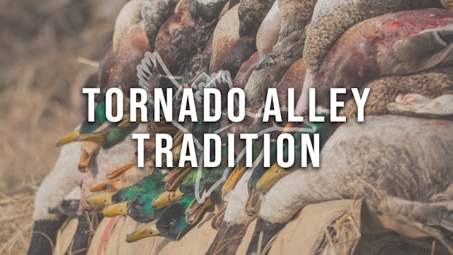 HW9.4 | Tornado Alley Tradition