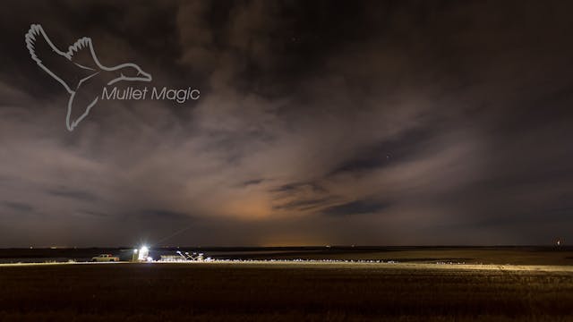 HEARTLAND WATERFOWL | 5.3 | "Magic Mullet"