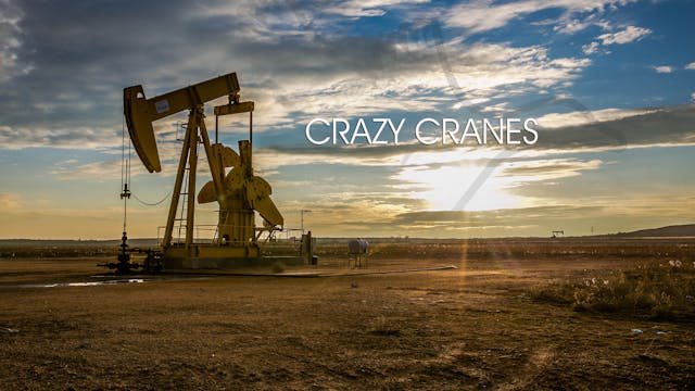 Heartland Waterfowl 3.7 - "Crazy Cranes"
