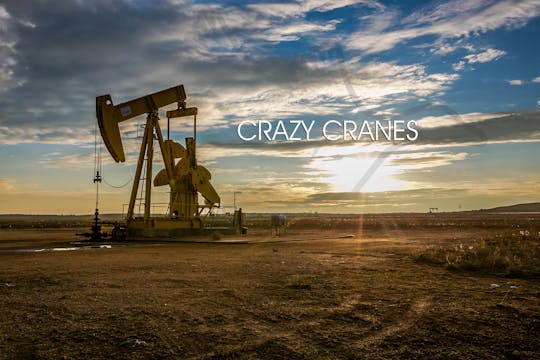 Heartland Waterfowl 3.7 - "Crazy Cranes"