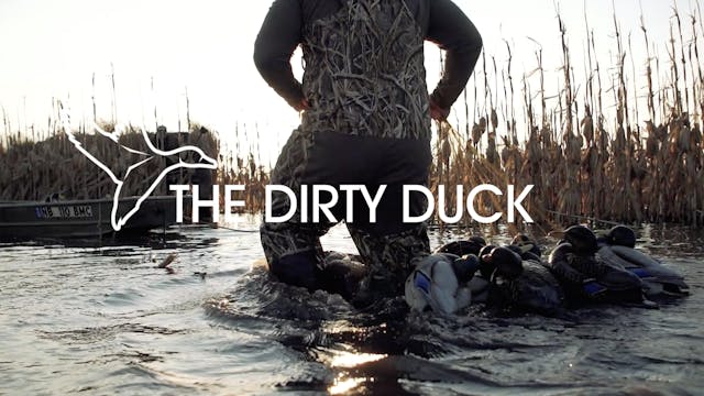 HW8.4 THE DIRTY DUCK