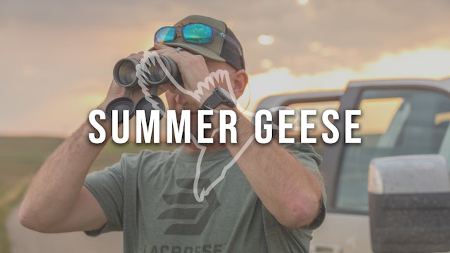 HW9.1 | Summer Geese