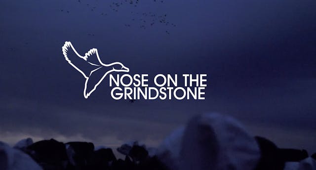 HW8.6 NOSE ON THE GRINDSTONE