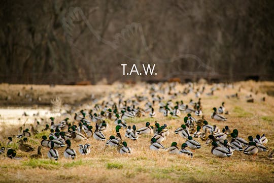 Heartland Waterfowl 3.6 - "T.A.W."